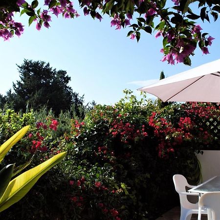 Townhouse In Paradise Gardens Πάφος Εξωτερικό φωτογραφία
